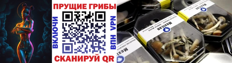 Галлюциногенные грибы Psilocybine cubensis  Купить где  Вуктыл 