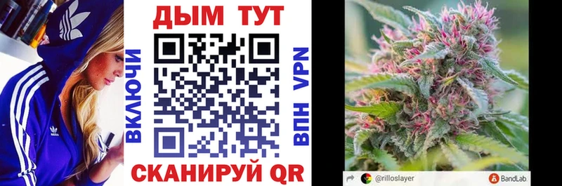 Купить  Вуктыл  Каннабис семена 